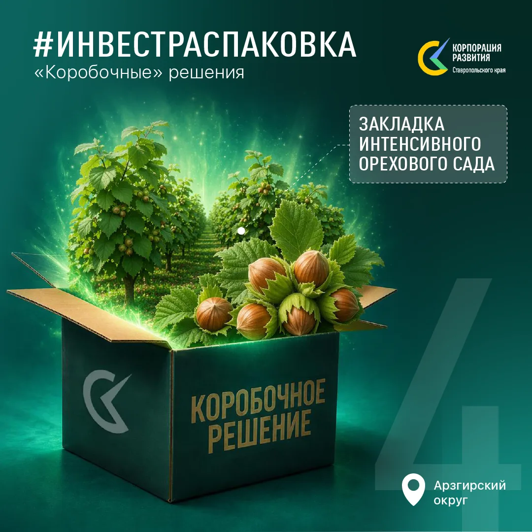 🎁  Вы хорошо инвестировали в этом году?

Тогда вам полагается подарок. Корпорация приготовила много