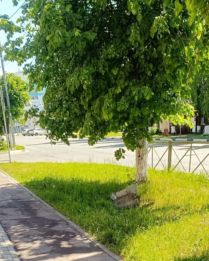 От подписчика:

"Второй месяц валяется кожух от столба ЛЭП на тротуаре в самом центре города и никто