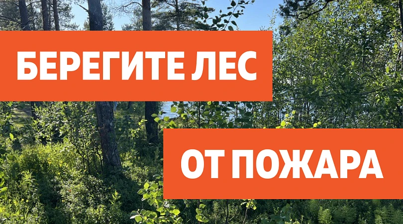 ПРАВИЛА ПОЖАРНОЙ БЕЗОПАСНОСТИ В ЛЕСАХ

❗️❗️❗️Граждане при пребывании в лесах обязаны соблюдать требо