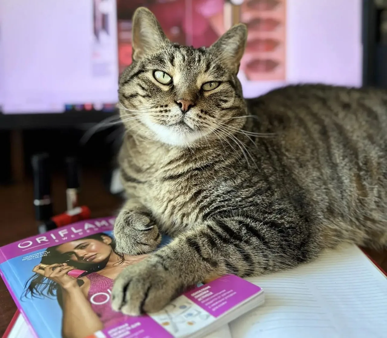 Всем замурчательных выходных! 🐱 ⭐

Пусть эти два дня будут наполнены уютом, лёгкостью и маленькими 