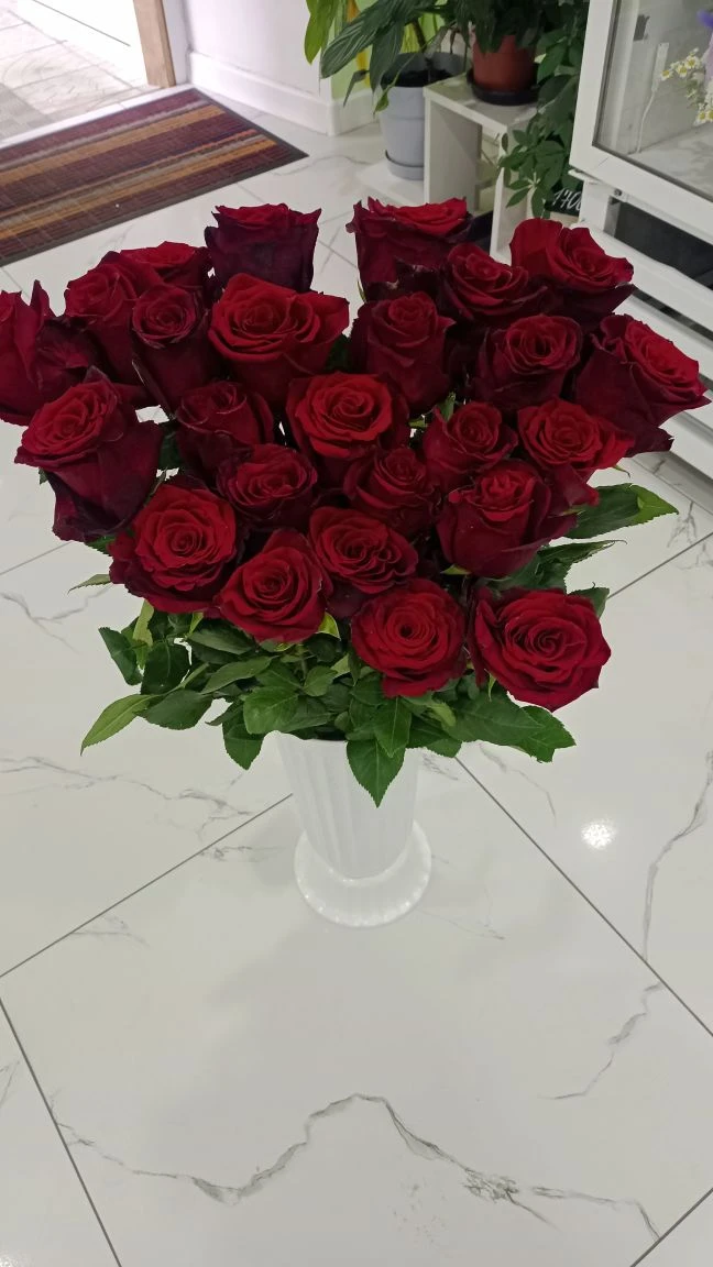 Красная классика 60см

250₽