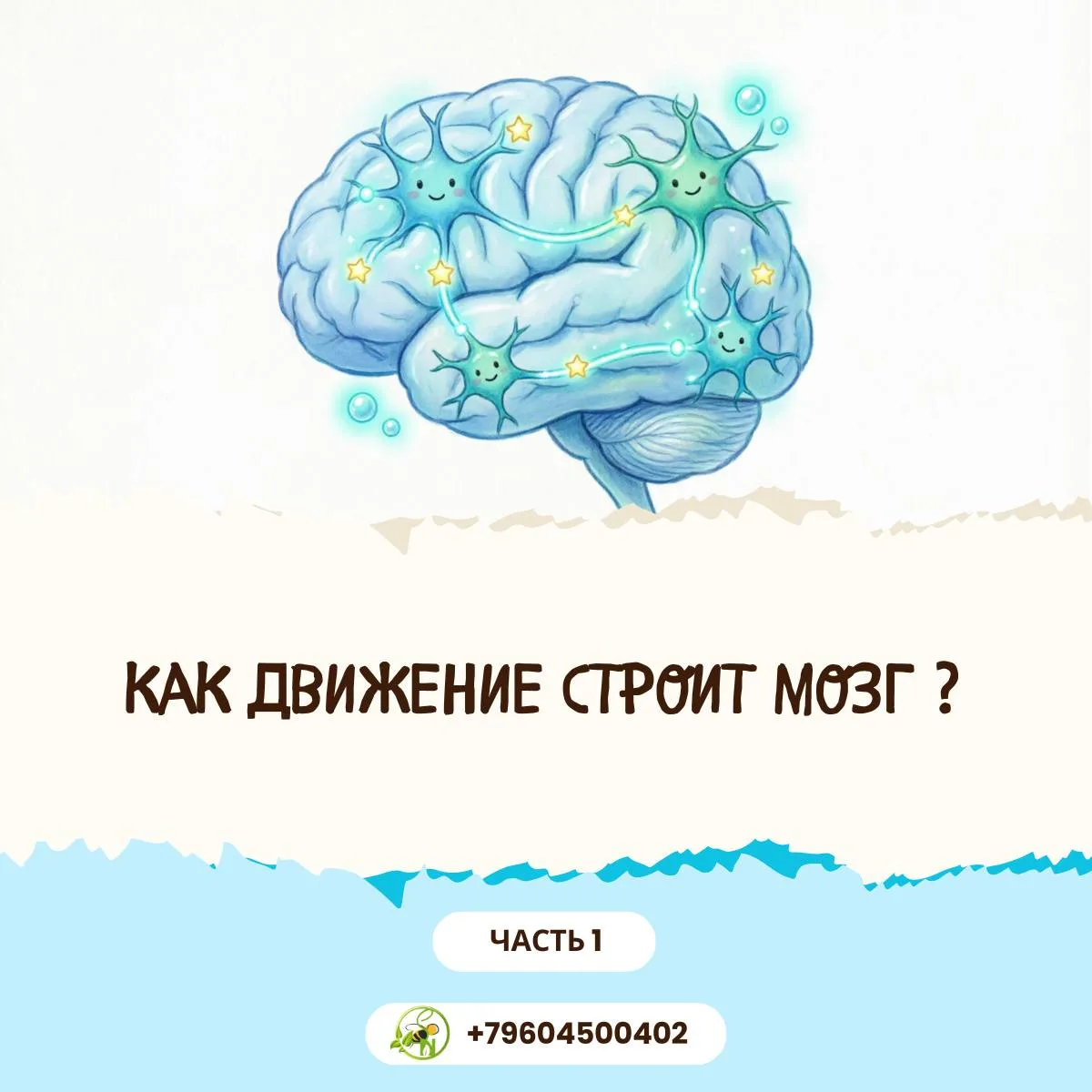 ПОЧЕМУ ОДНИХ УМНЫХ ЗАНЯТИЙ МАЛО ❔
С самого рождения мозг ребёнка развивается через движения:
✅перево