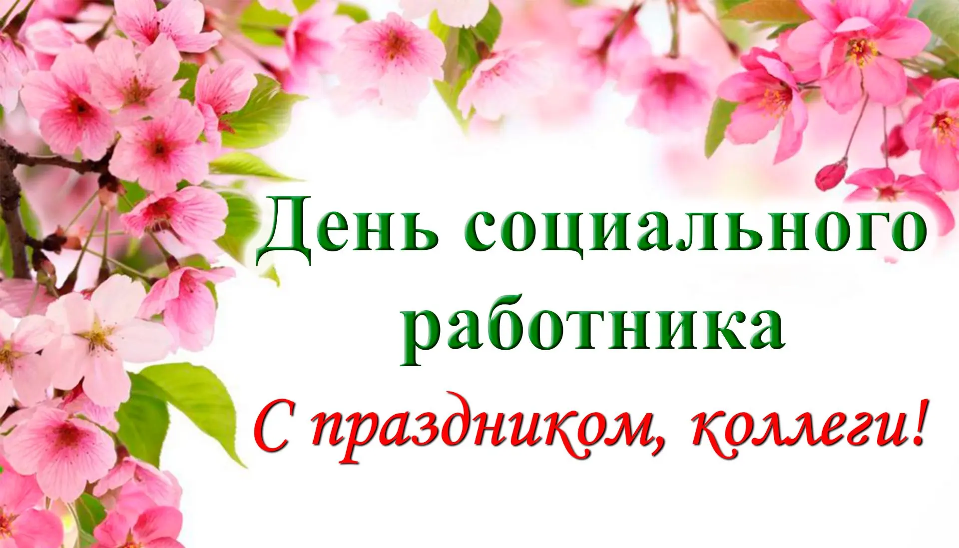 В Кимовском доме заботы «Родник души» прошло торжественное мероприятие, посвященное Дню социального 