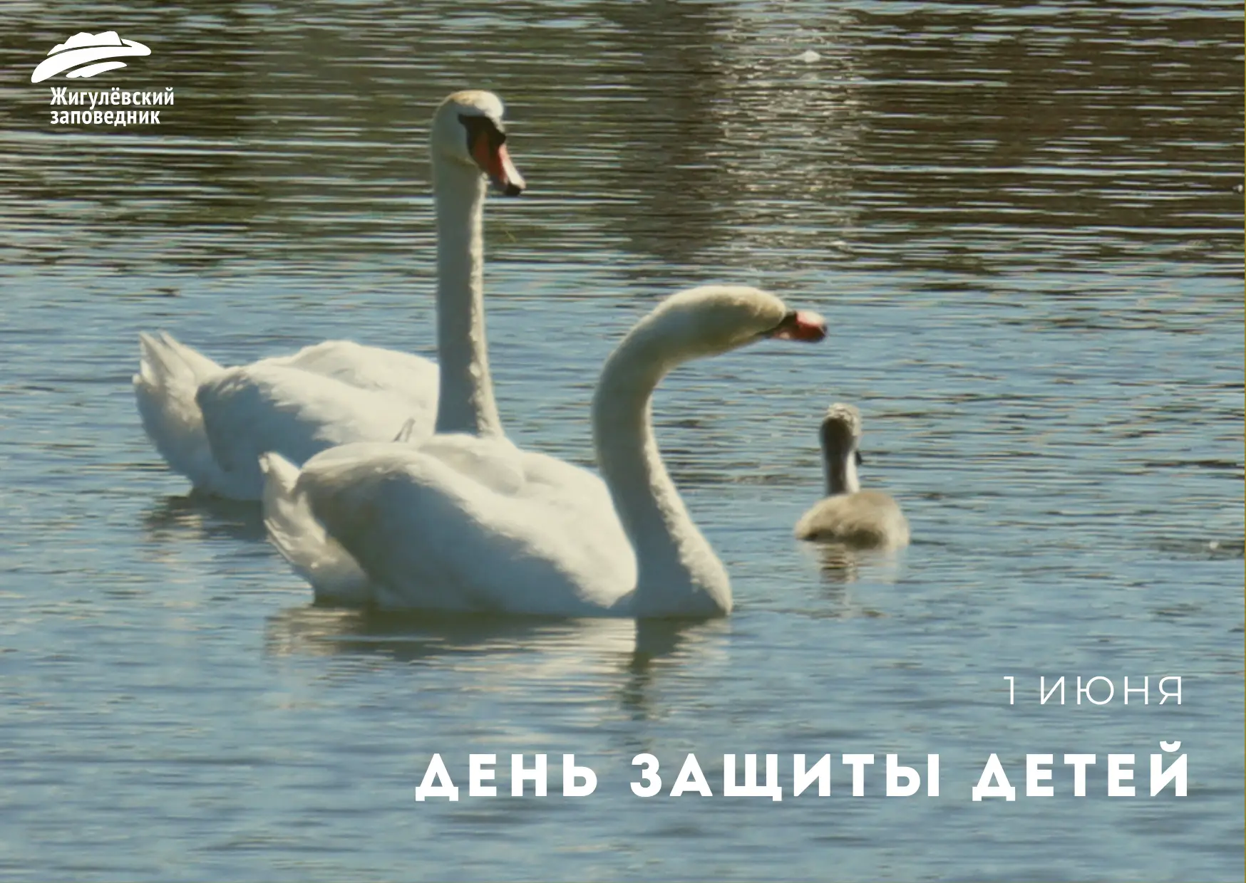 С Днём защиты детей! 

Первый день лета напоминает нам о самом важном — о детях. О тех, кто только н