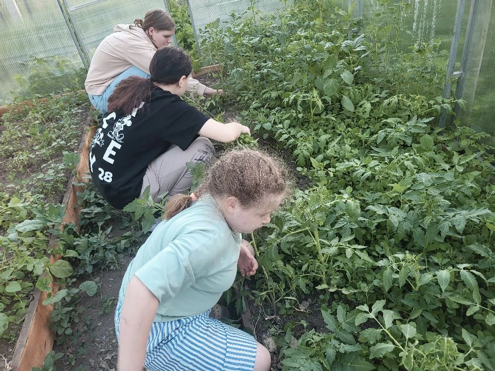 «Кто, если не мы?»: вечер заботы о будущем урожае 🍅🌿

🤝💚Обычный будний вечер в центре содействия