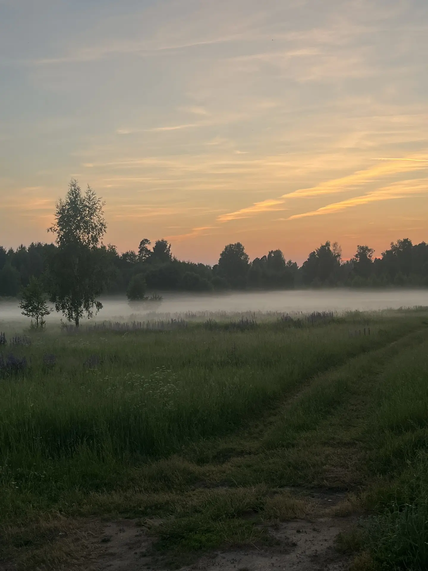 Закат 🌅 с туманом в Киржаче .
Оцените