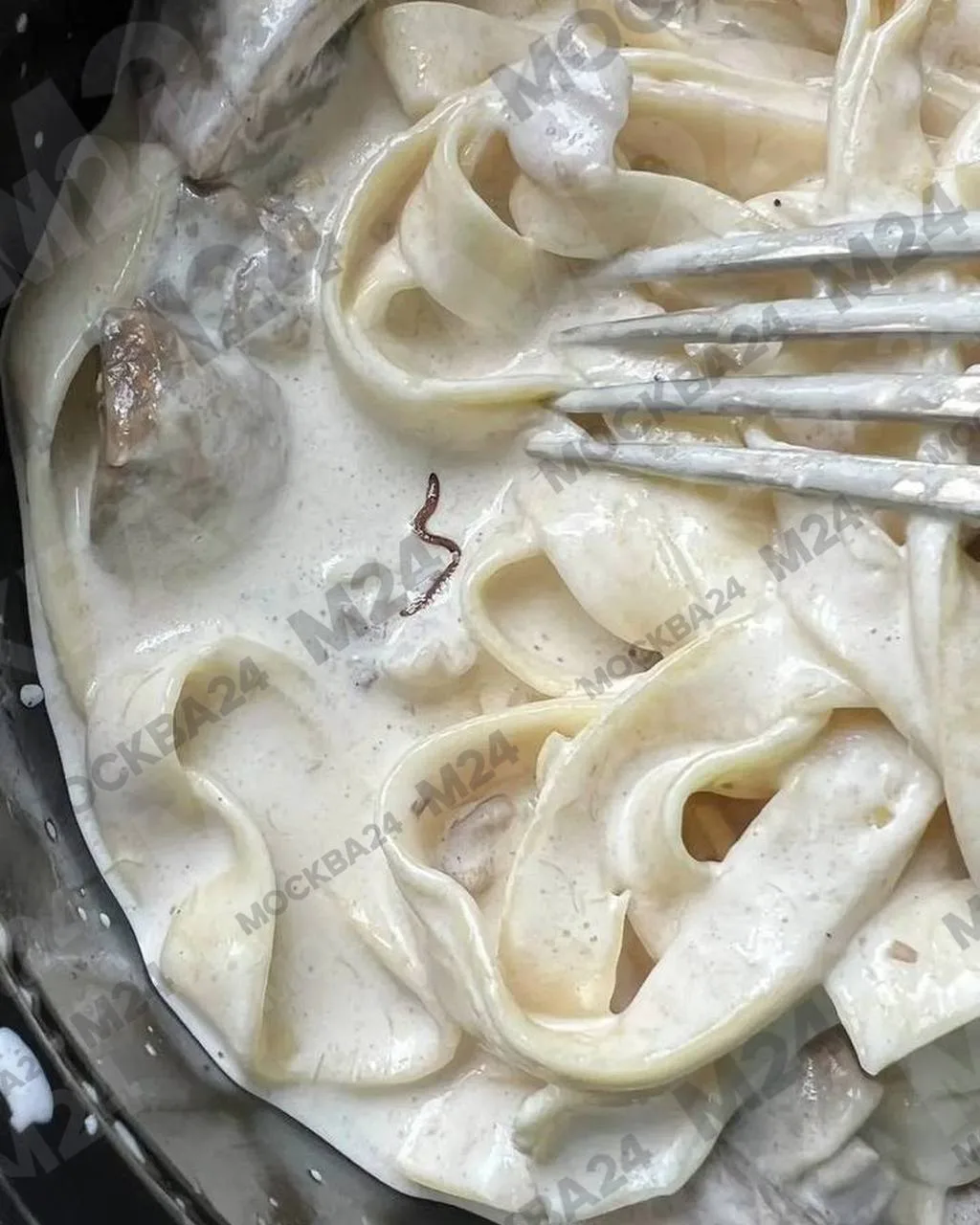 🪱 Москвичке попался червь в готовой пасте из «Азбуки вкуса» за 480 рублей

За феттучини с белыми гр
