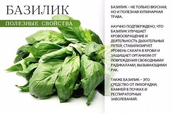 Будем здоровы! |👉 Подписаться