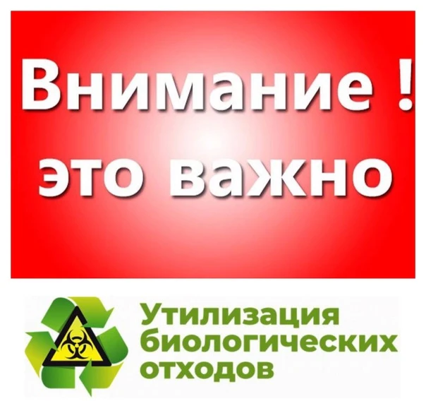Памятка по утилизации биологических отходов

Согласно Приказа Министерства сельского хозяйства Росси