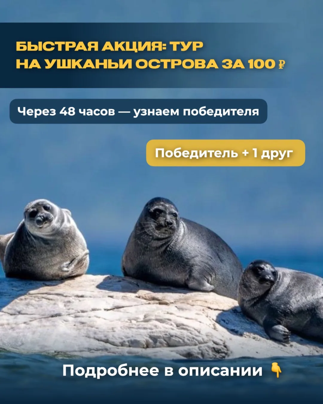 БЫСТРАЯ АКЦИЯ: ТУР НА УШКАНЬИ ОСТРОВА ЗА 100 ₽ 😍

Разыгрываем тур на Ушканьи острова для двоих (поб