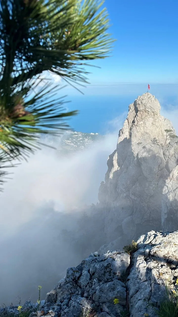 😶‍🌫️Шикарные виды с плато Ай-Петри

📸Автор: mountainlifestyle
👉 t.me/typical_krum
👉 max.ru/typi
