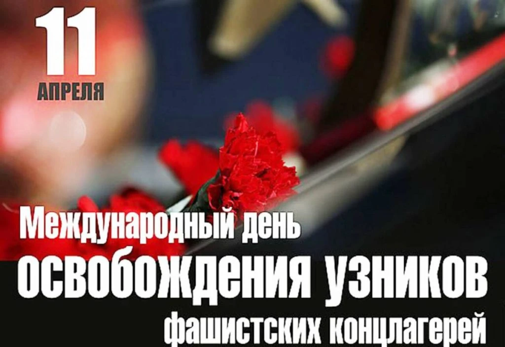 Во  время  Второй  мировой  войны на  территории нацистской  Германии,  её  стран-союзниц  и  на  ок