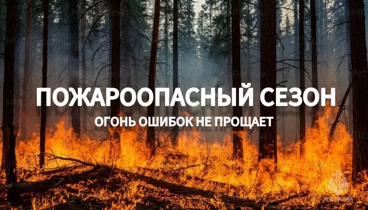 Лето-2026: Отдых без дыма и штрафов ☀️🌲

Дорогие друзья, на календаре – жаркое лето 2026. Синоптики