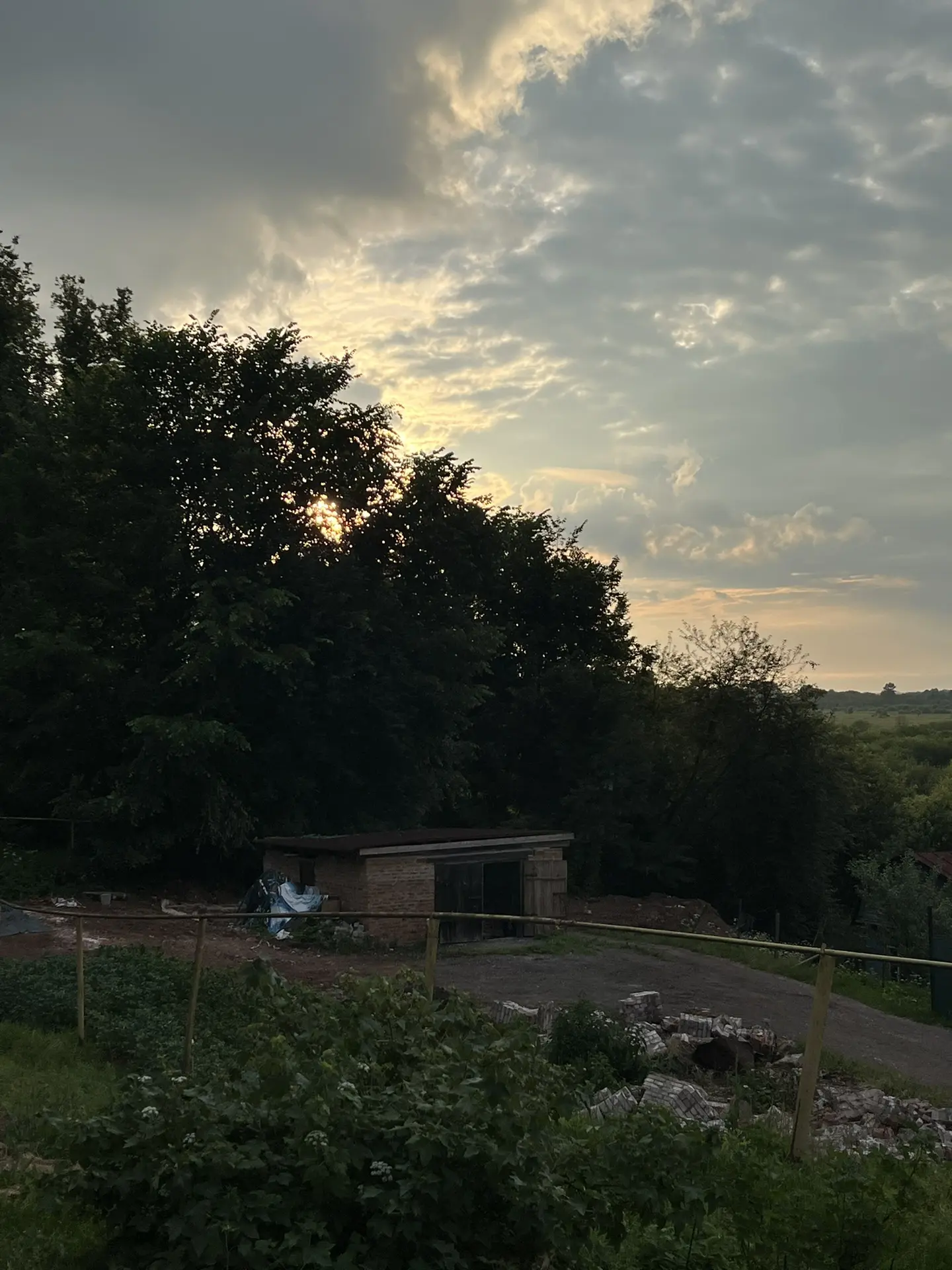 На улице красота, появляется первый урожай 🤗
В этом году завязалось много разных ягод, это радует �