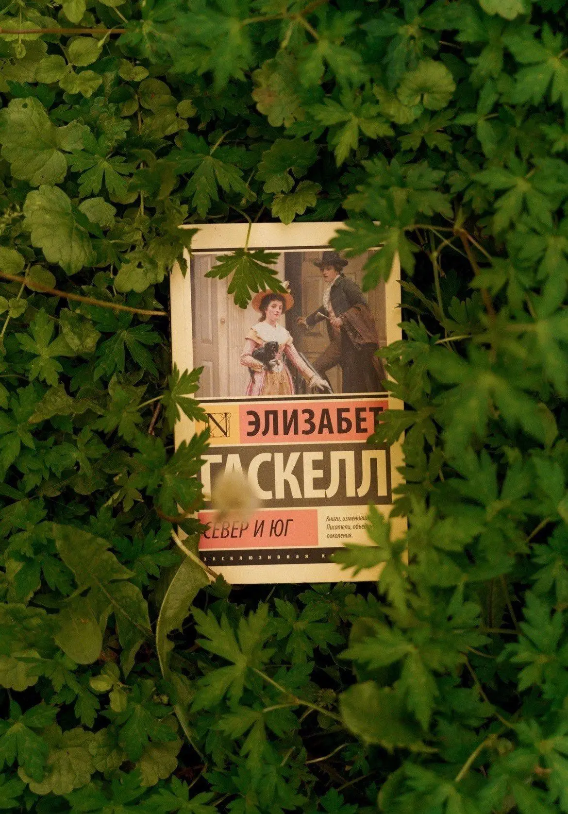 Элизабет Гаскелл «Север и Юг»
Жанры: #Роман, #Фикшн, #Социальный_роман

💭Это удивительная книга! Ка