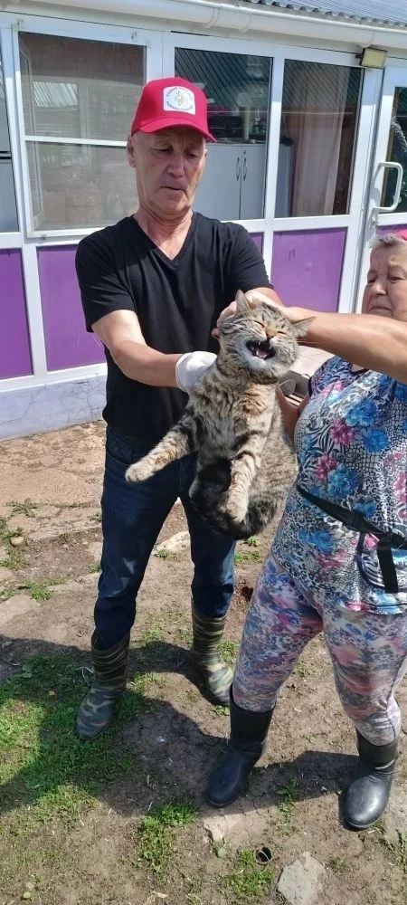**🐾 Забота о питомцах — наша общая ответственность! 🐾**

Наши отважные ветеринары из ГБУ «Рыбно-Сл