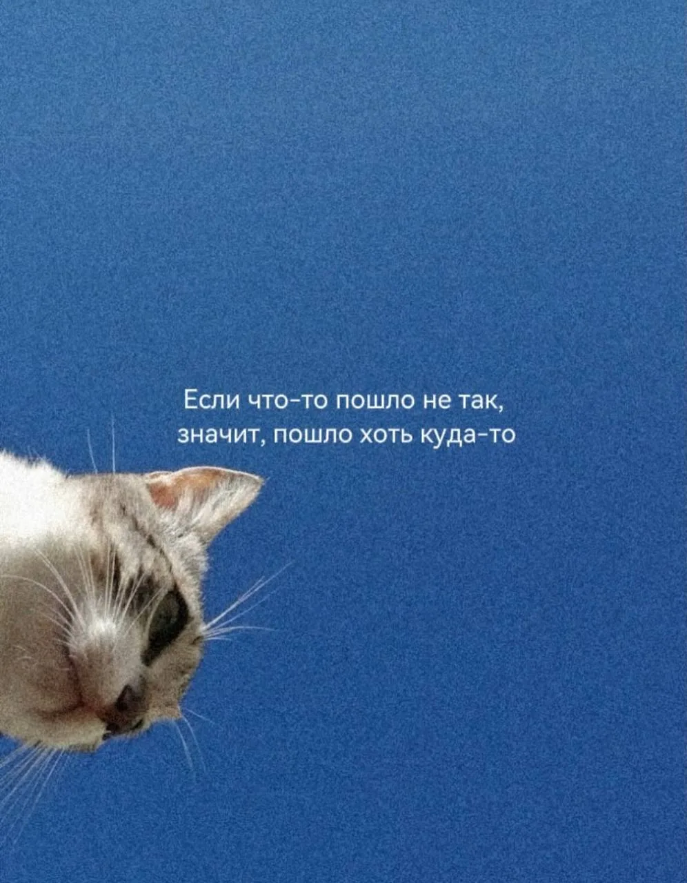 Есть реальное бессилие. А есть то что на него похоже. 

В мнимом бессилии и беспомощности психика за