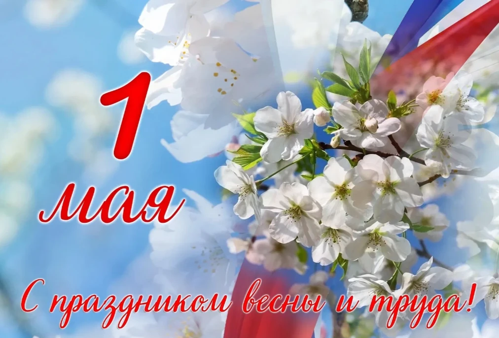🌸 С Первомаем, друзья! 🌸
   Сегодня идеальный день, чтобы взять камеру и пойти гулять! Весна в сам