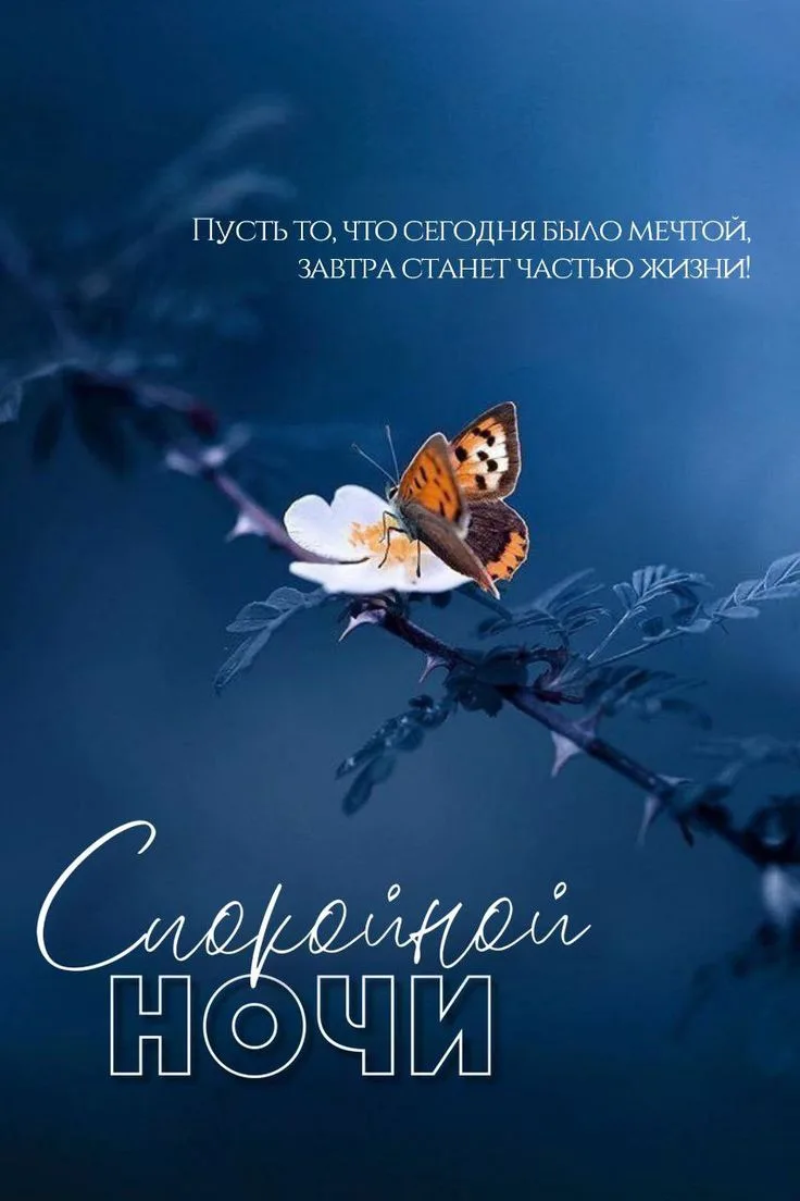 Поздравления для Настроения💌