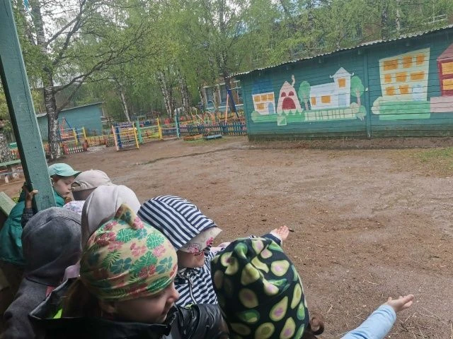 Наблюдаем за дождём: познаём мир вместе! Мы с ребятами старшей группы наблюдали за дождём — и узнали