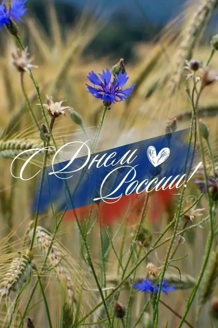 С Днём России! Мира, тепла, добра, радости и света всем нам! Пусть каждый день начинается с хороших 