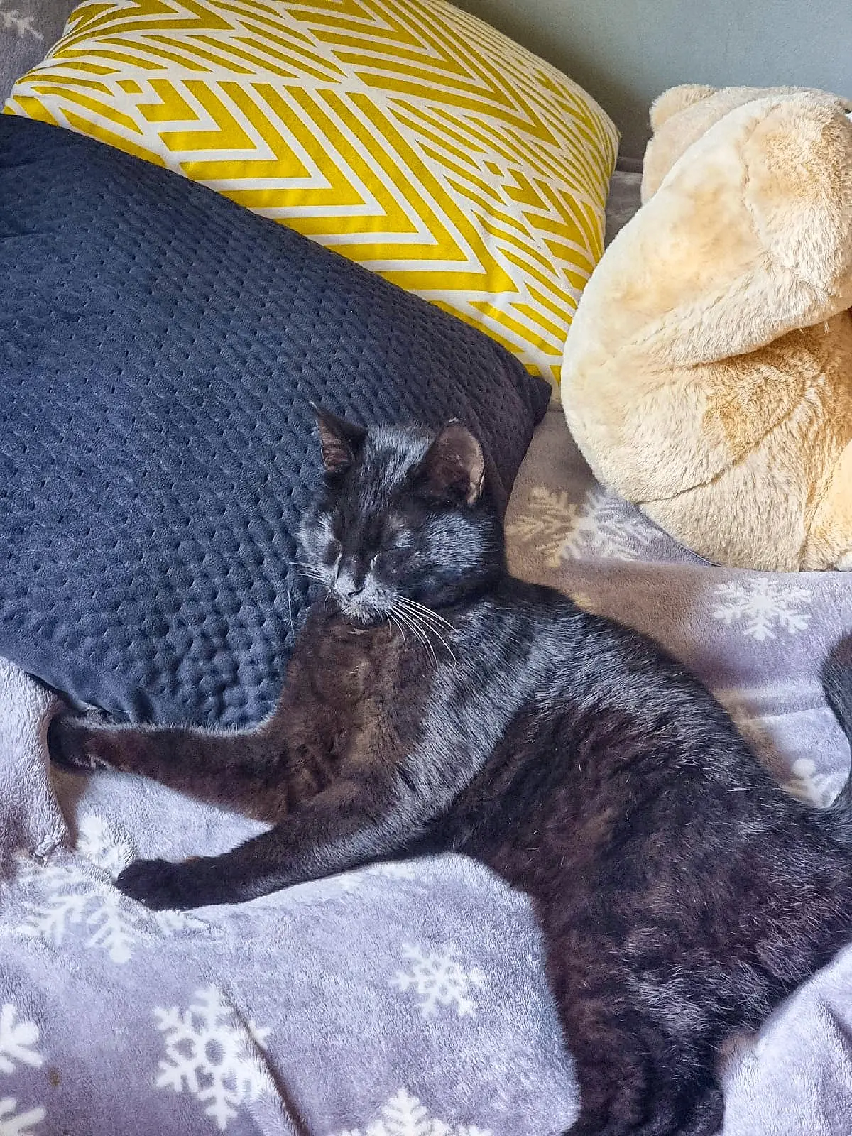 Доброе утро! Или как сказала бы моя кошка - Мяу!🐈‍⬛