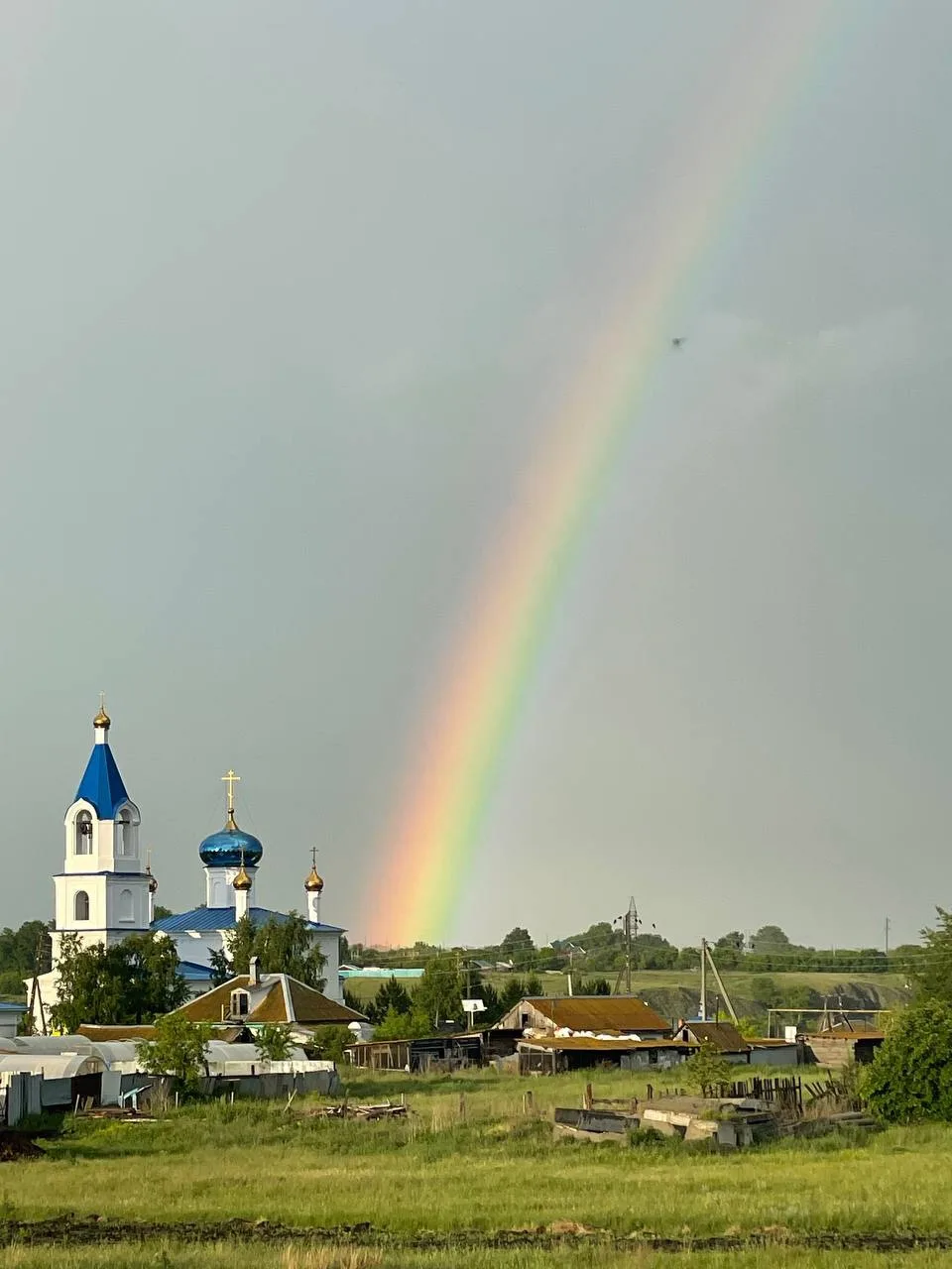 Увельский район село Красносельское.
Фотографию сделал руководитель Увельского лесхоза Иван Ромашенк
