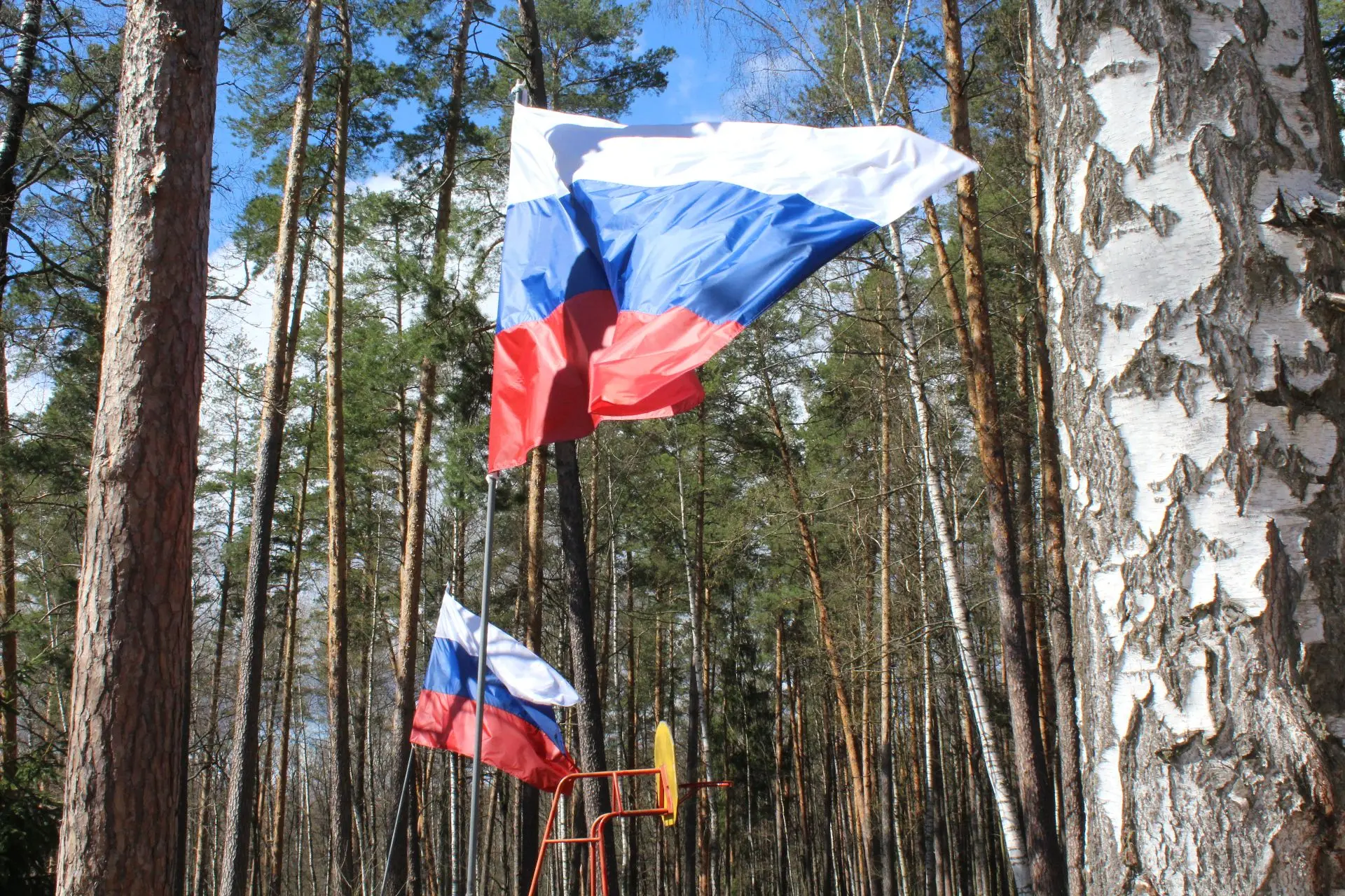 Сегодня на площади нашего пансионата произошло небольшое, но очень значимое событие: сотрудники учре