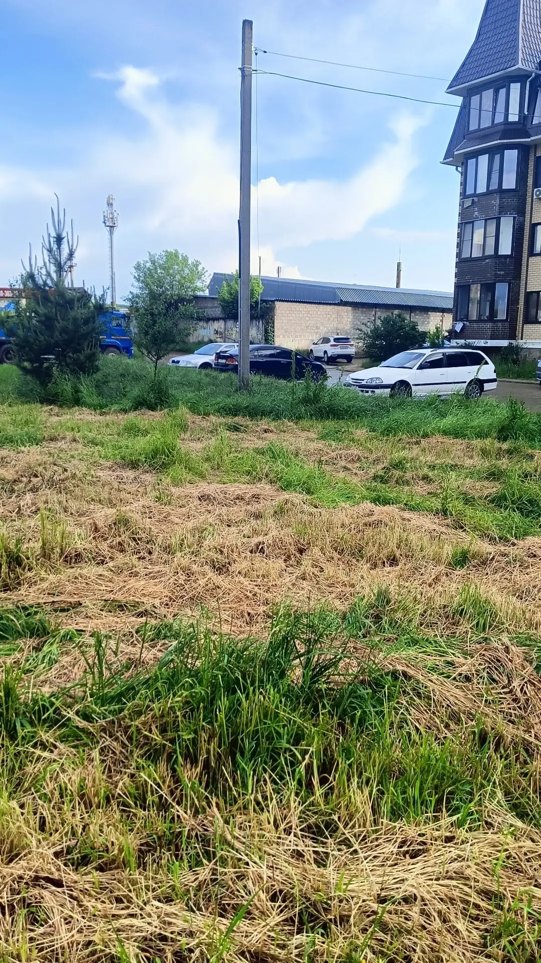 🧐 Художественный покос травы на Энгельса 1/1.

❓️Интересно, кто так покосил - местные или городские