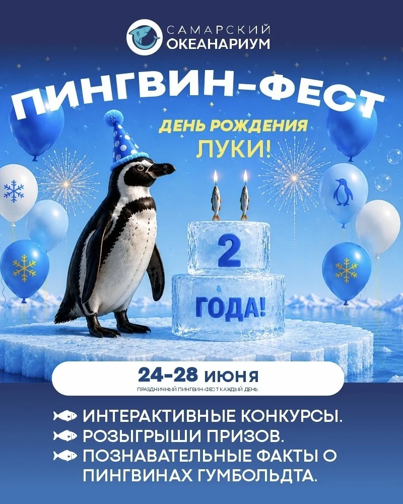 🐧 ЛУКА СОБИРАЕТ ДРУЗЕЙ НА САМУЮ МИЛУЮ ВЕЧЕРИНКУ! 🎉

Самый пингвинский праздник этого лета уже приб