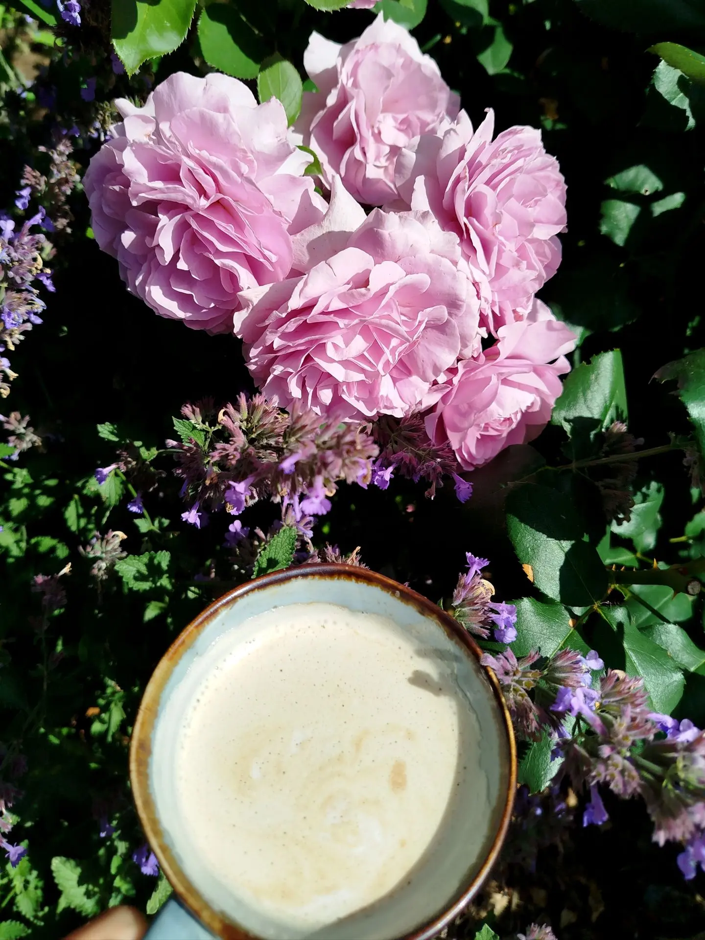 Доброе утро ☕

Сегодня с ароматом роз 🤗

ДАЧНИЦА Svetasaratov