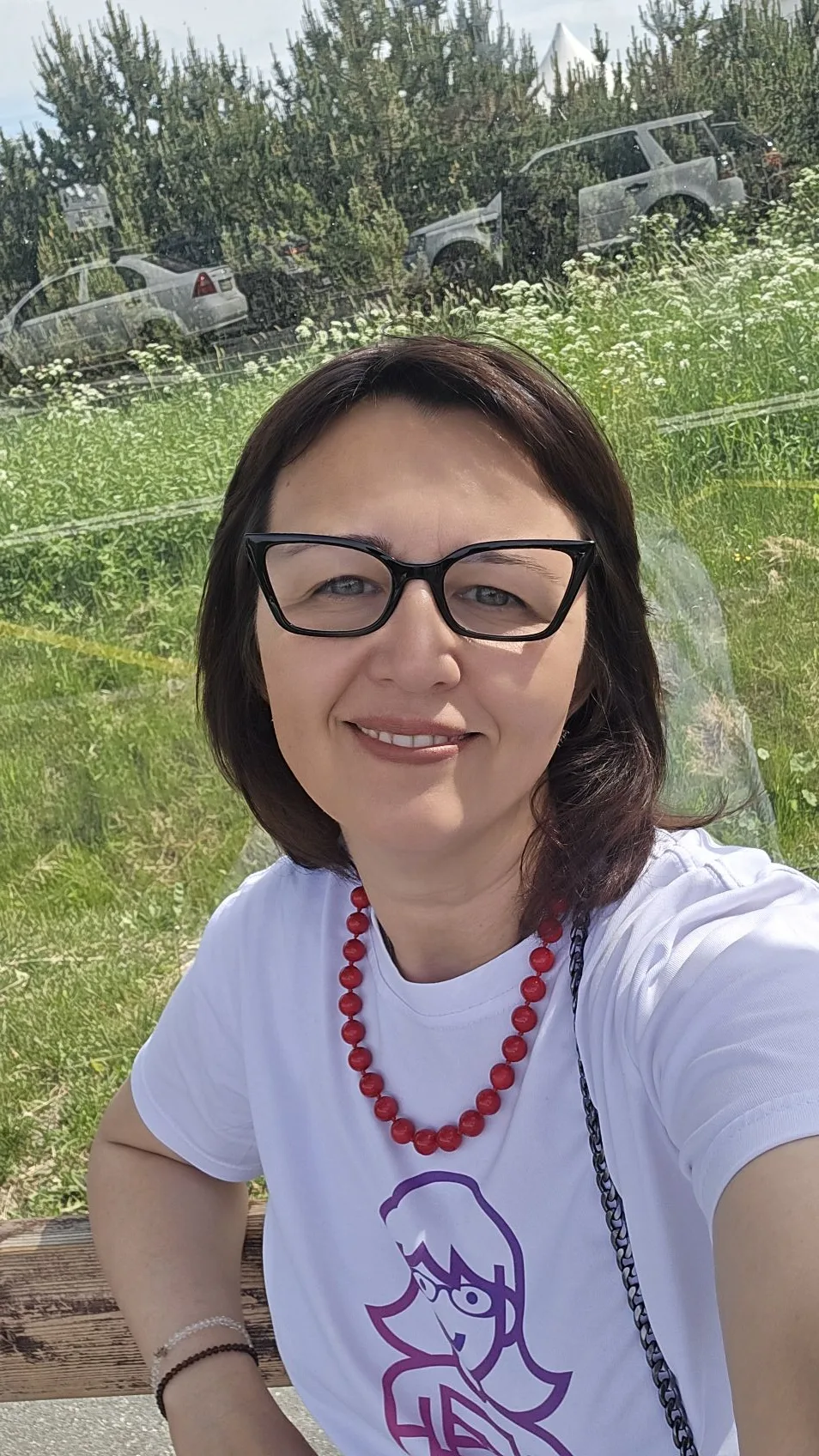 Ну, вот и всё.  Едем домой.
Отмена мероприятия из-за  атаки БПЛА