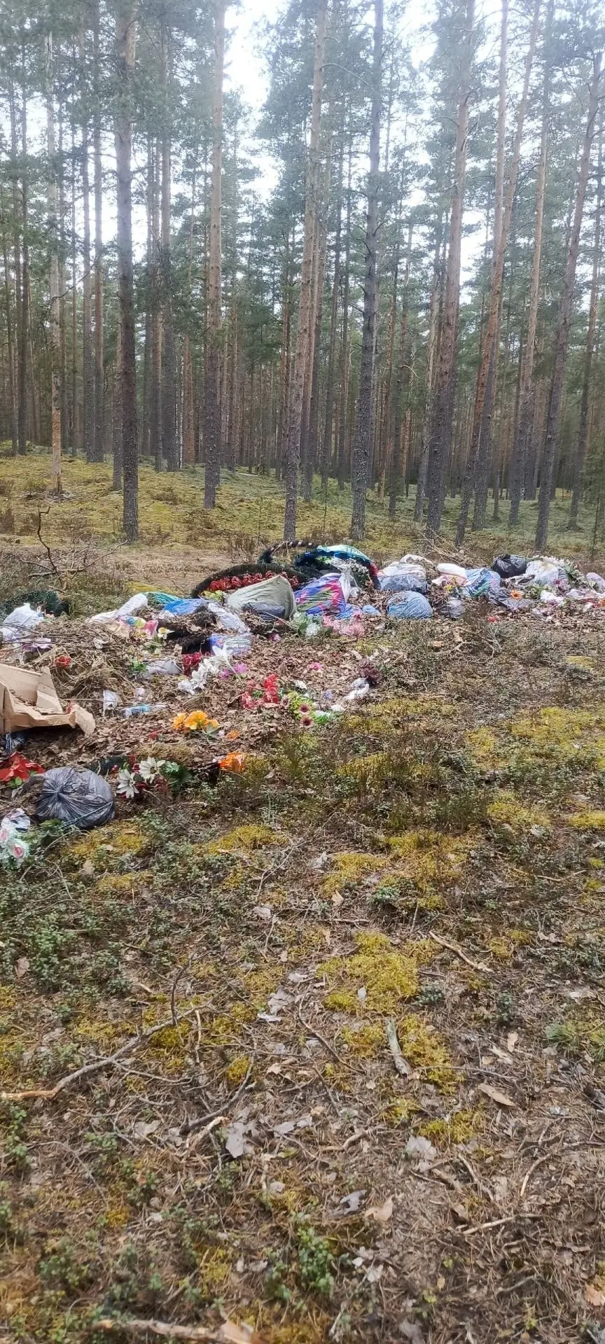 Пресечена организация свалки ритуальных отходов в лесах зеленой зоны Опеченского участкового лесниче