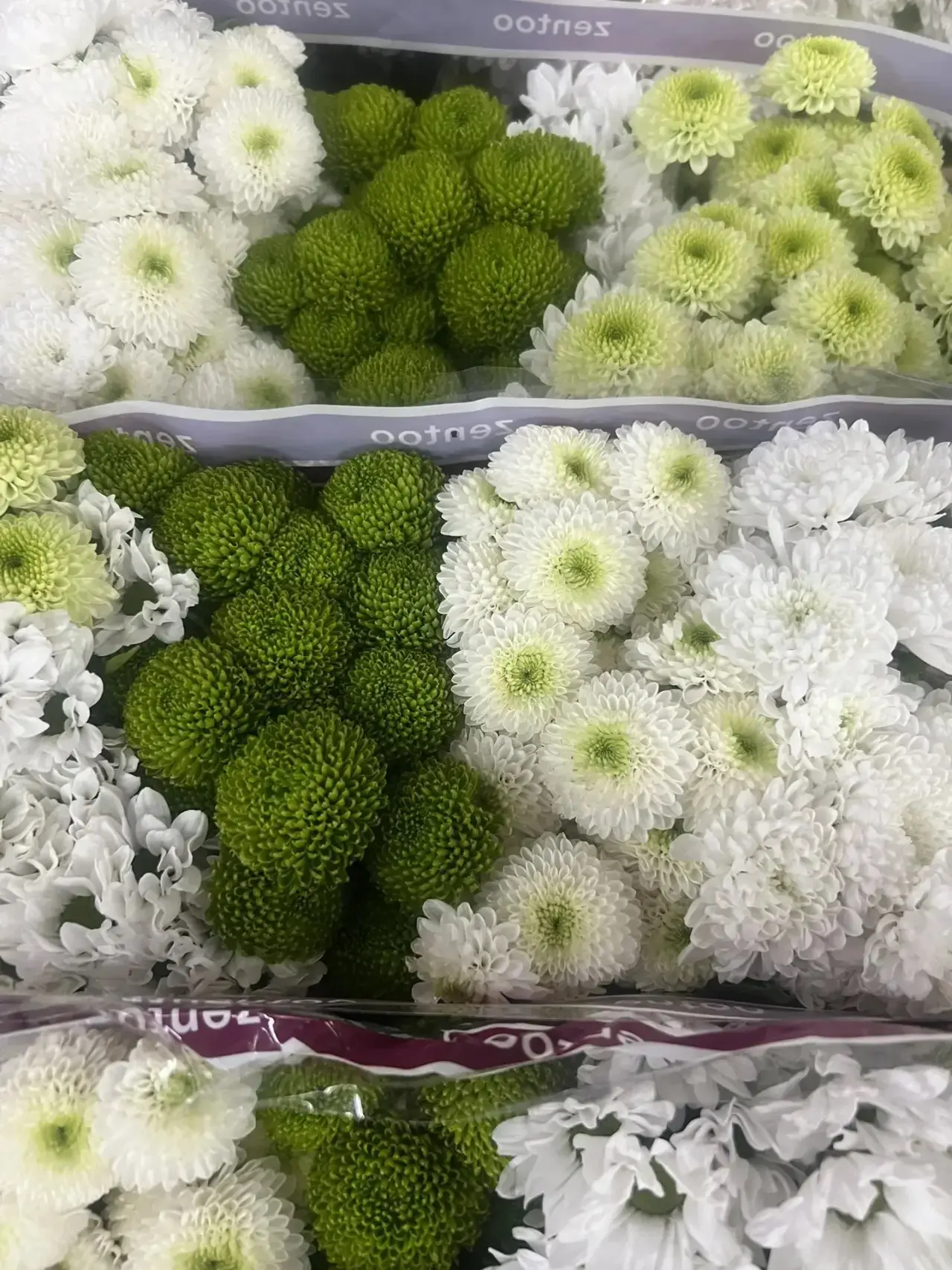На закупке , дальше все как в тумане 😍😍

Заказать доставку домой: https://pro-flowers.taplink.ws