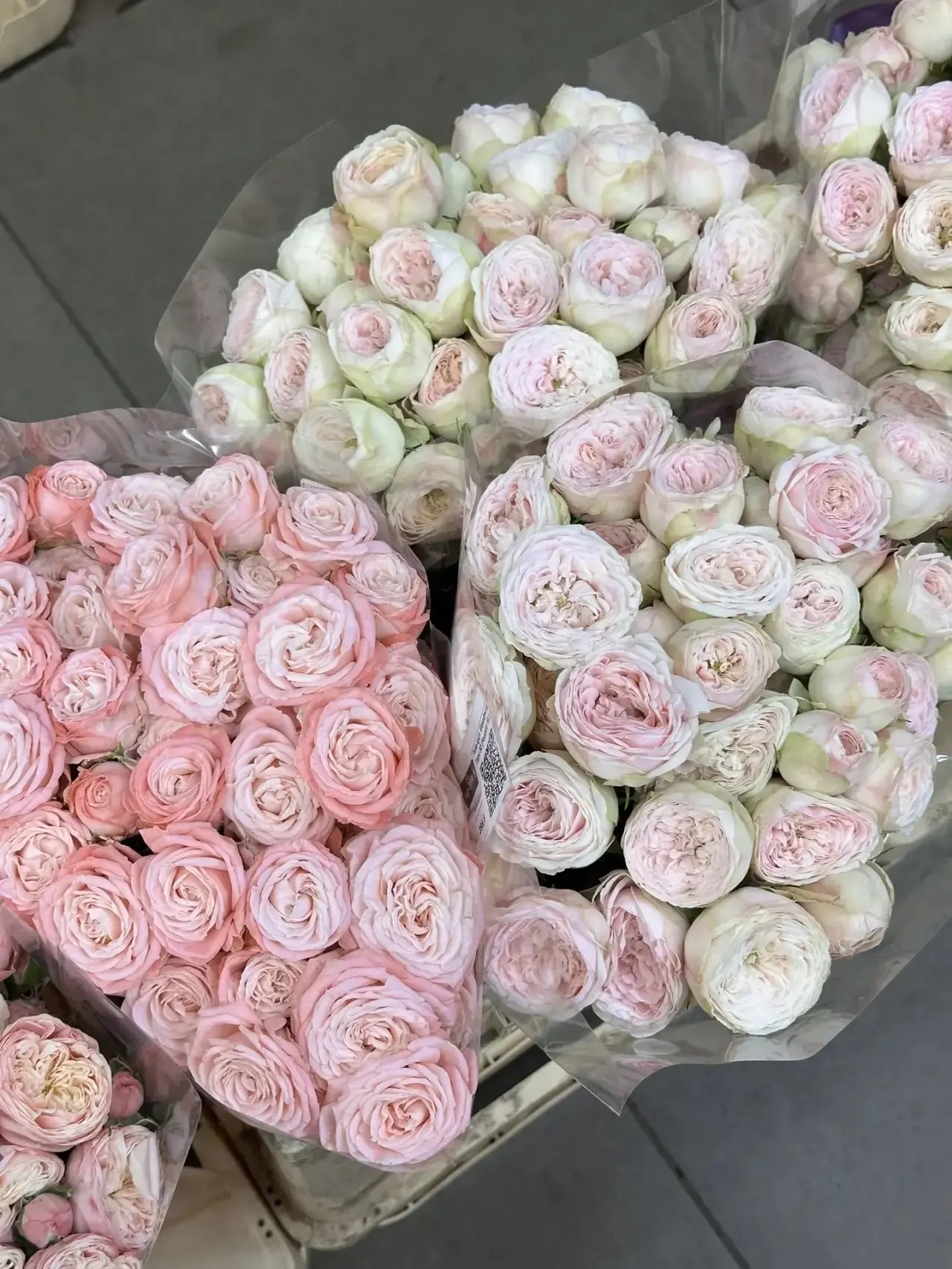 Любовь к себе -забота о себе каждый день!! 

Купите себе цветы не потому что праздник, а потому что 