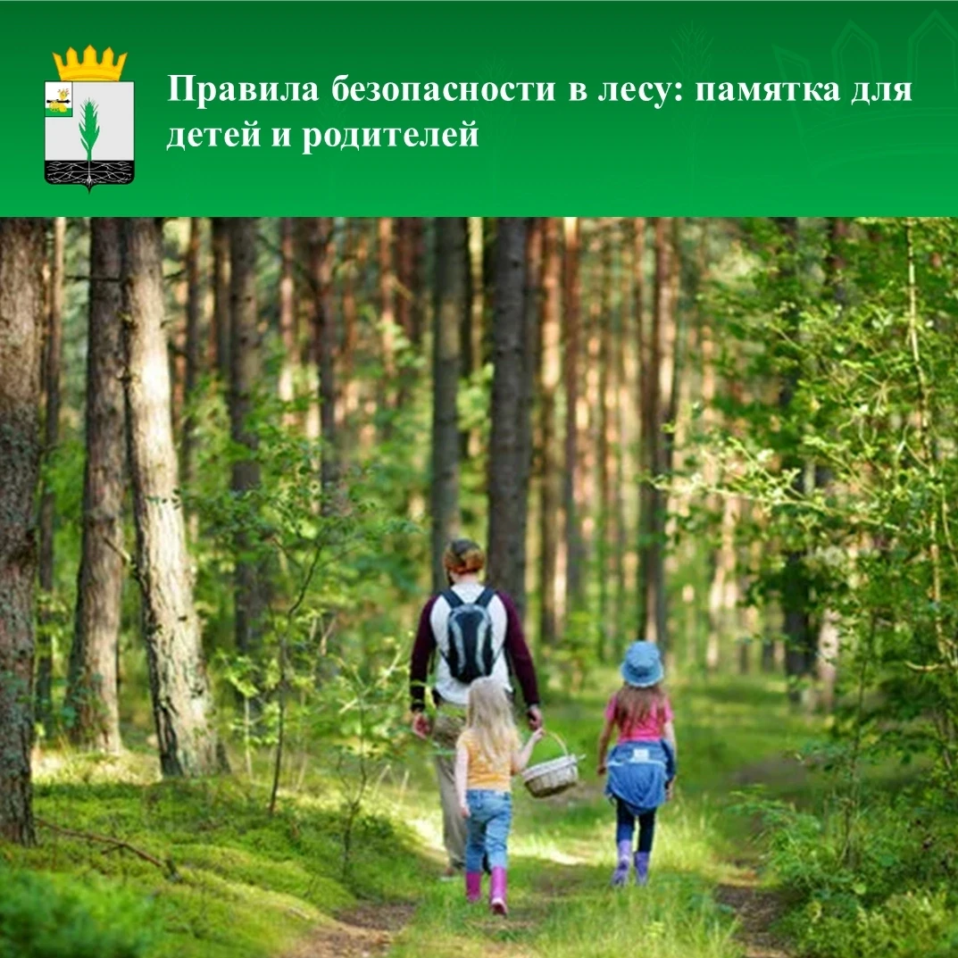 🌳Каникулы – идеальное время для активного отдыха на природе. Многие мечтают прогуляться по лесу, на