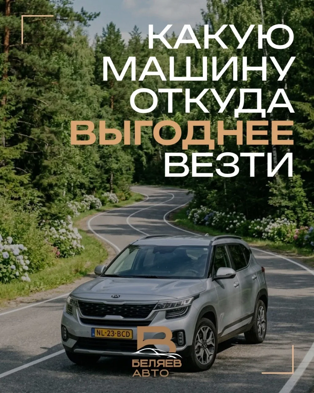 ОТКУДА ВЕЗТИ ВЫГОДНЕЕ?

Универсального ответа нет — всё зависит только от ваших задач.

Собрали крат