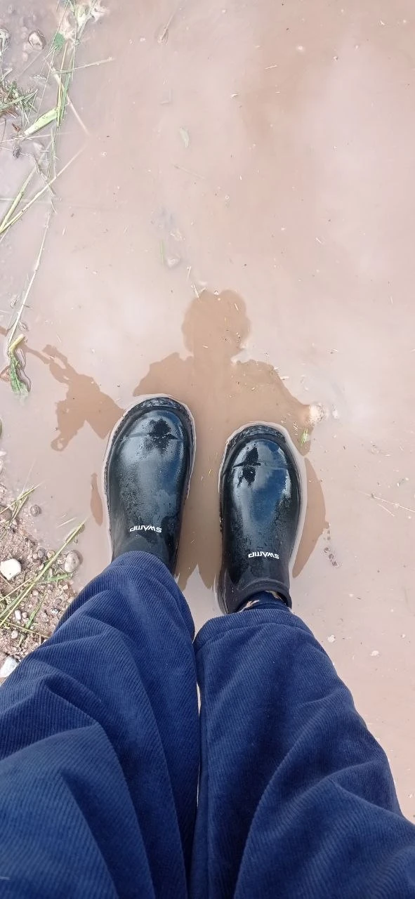 Дожди... А что потом?!
Сначала была засуха... Теперь бесконечные ливни🤷 Почему нельзя как-то равном