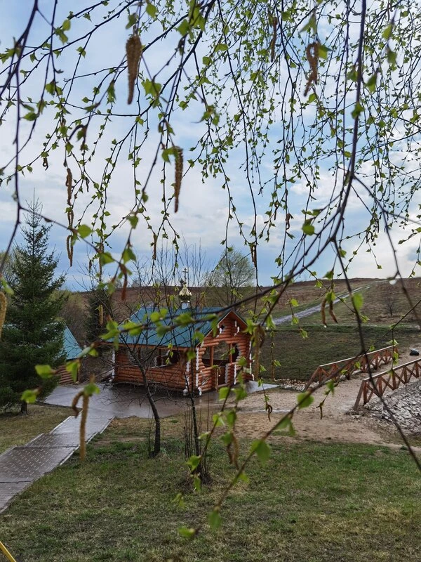📌Токмаковский родник: жемчужина Ермишинсокго района 
📌Токмаковский родник — это уникальное природн