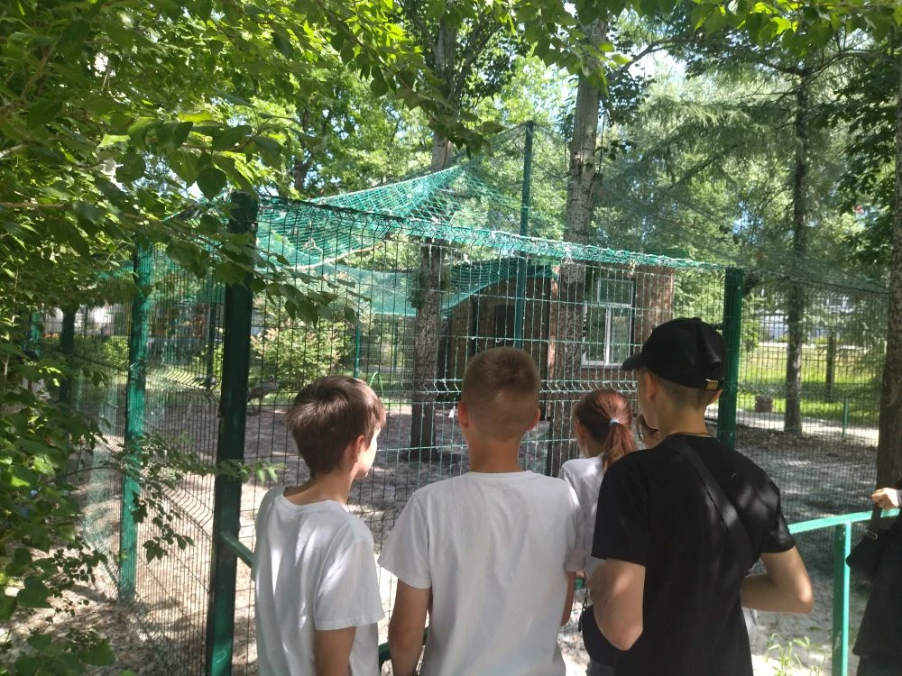 🏙Городская среда🏙

🌿В рамках сотрудничества с Детским эколого-биологическим центром, а также в ра