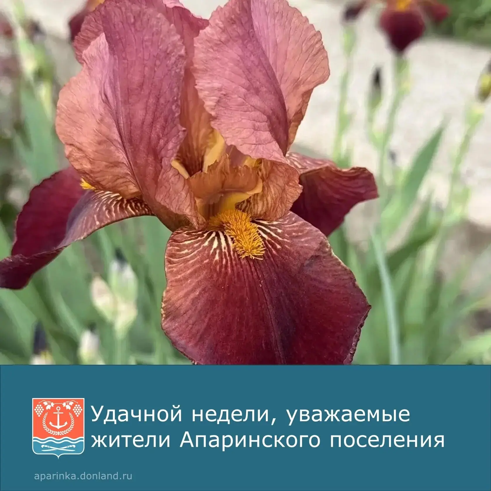 🌼С началом новой рабочей недели!
 
Пусть она будет продуктивной, интересной и принесет много приятн