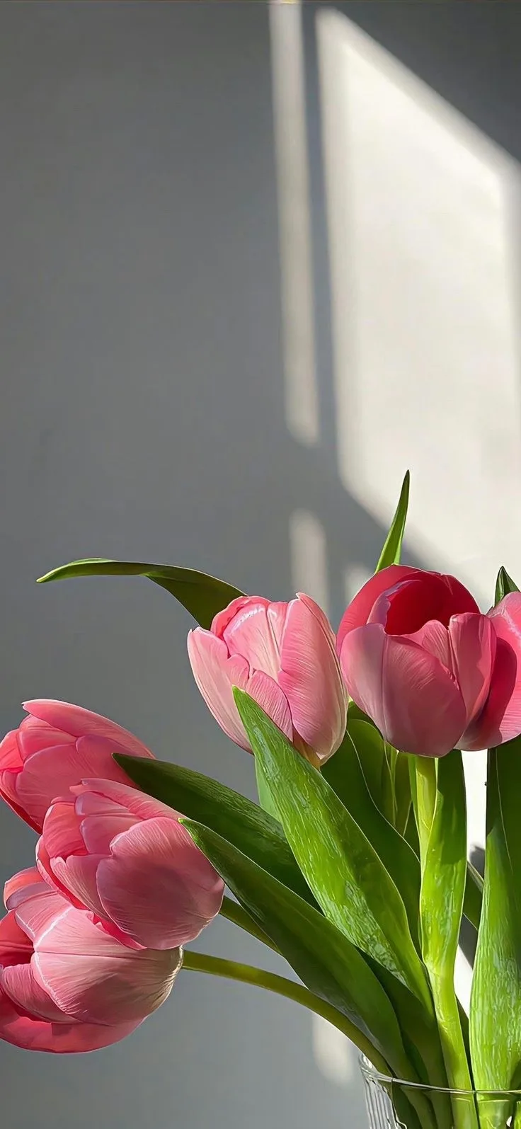 Дорогие девушки и женщины🌷

Поздравляю вас с прекрасным праздником, 8 Марта!

Навсегда оставайтесь 