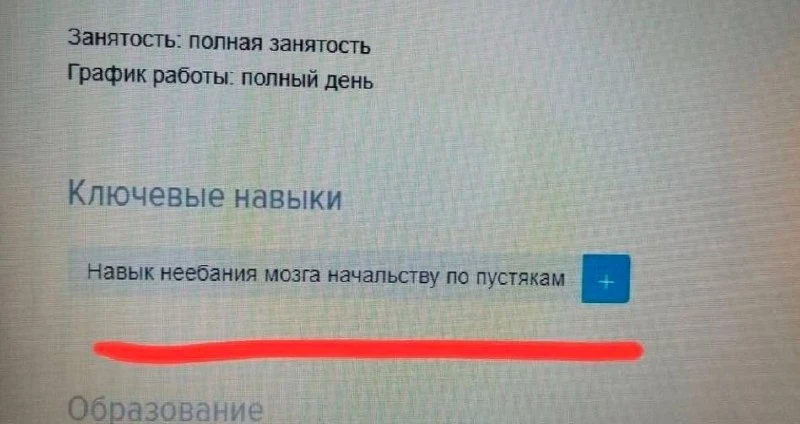 Любимая рубрика «работа мечты»
