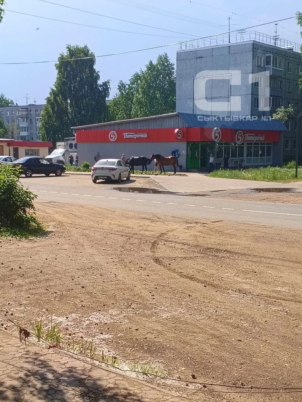 Просто лошадки опять гуляют по Краснозатонскому.

НЕ ЗАБУДЬ ПОДПИСАТЬСЯ ⤵️