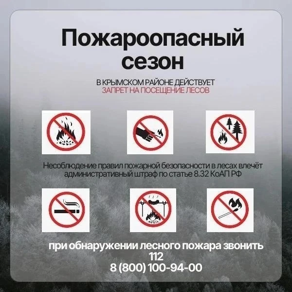 В Краснодарском крае вводятся ограничения на пребывание граждан в лесах

В лесных массивах также зап