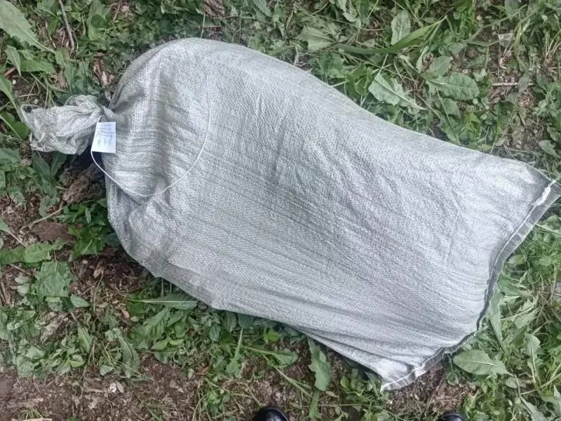 В Дальнереченском муниципальном округе полицейские изъяли 275 кустов конопли и марихуану. Возбуждены