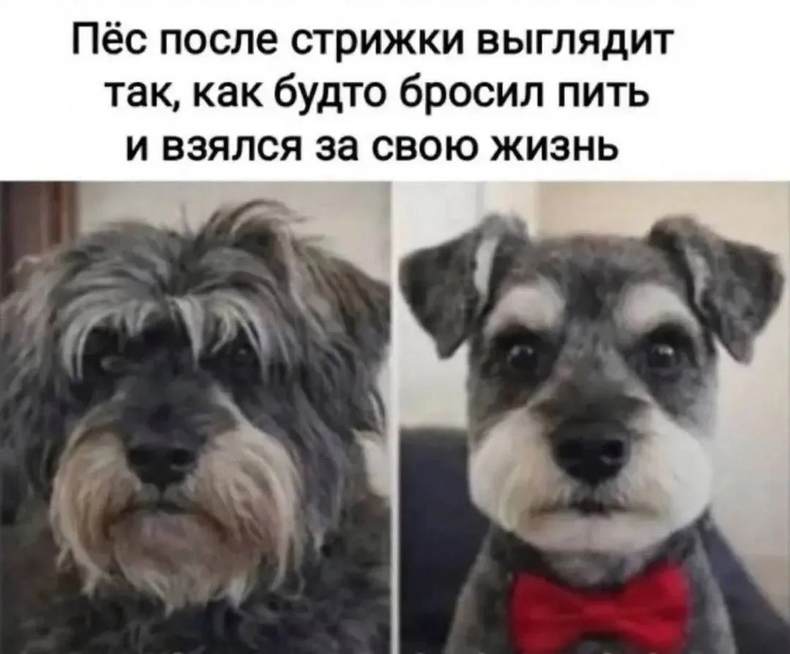 Сила преображения 💪
Завидую...