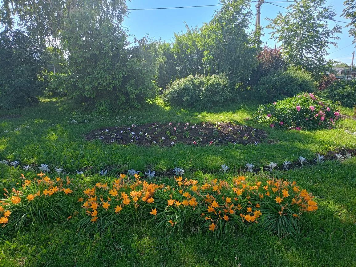🌺 В преддверии Дня России по всей стране стартовала акция «Цветы России» в рамках проекта #РодинойГ