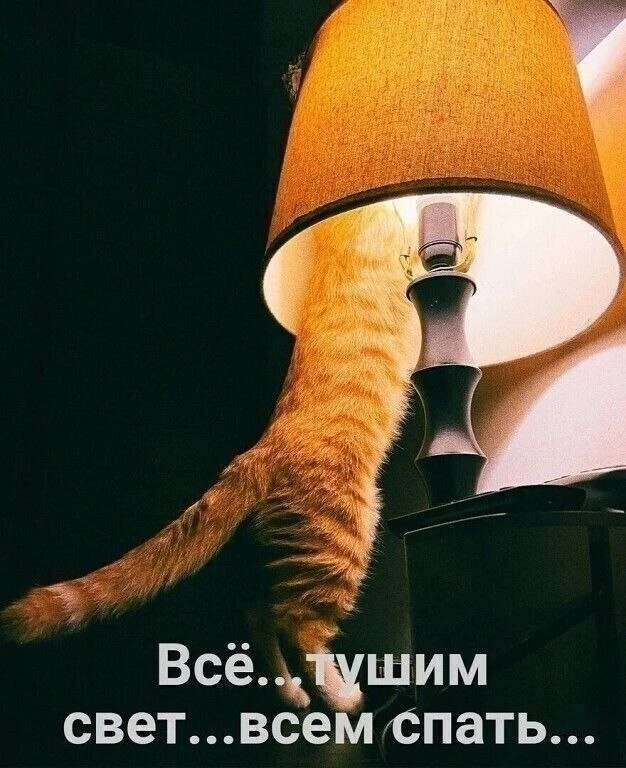 Пора приводить мысли в порядок и ложится спать! Хороших сновидений 🙌

Канал «Чердак сознания»
Подпи