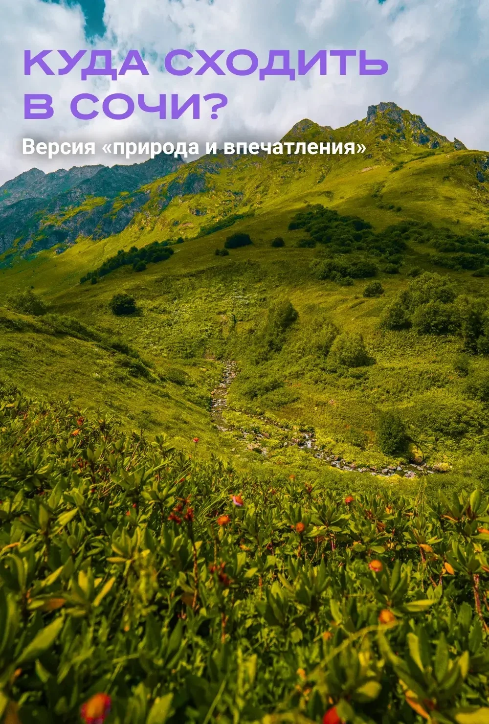 Пост для тех, кто любит природу больше, чем пляжные шезлонги 🌿

В карточках — 5 проверенных локаций